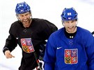 HVZDY TÝMU. etí hokejisté se ped utkáním se Slováky seli na spoleném...