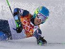 ZLATO. V olympijském obím slalomu zvítzil amerian Ted Ligety. (19. února...