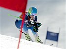 ZLATO. V olympijském obím slalomu zvítzil amerian Ted Ligety. (19. února...