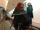 Papouci v metru