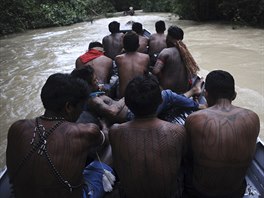 Munduruku Indian warriors navigate the Das Tropas river as they search for...
