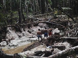Munduruku Indian warriors inspect a wildcat gold mine as they search for...