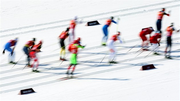 Bci na lych ve tafetovm zvodu na 4x10 kilometr. (16. nora 2014)