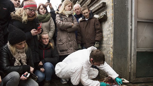 Na porku irafy pozvali pedstavitel kodask zoo dti. Dostalo se jim odbornho vkladu.