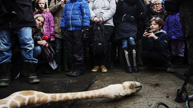 Na porku irafy pozvali pedstavitel kodask zoo dti. Dostalo se jim odbornho vkladu.