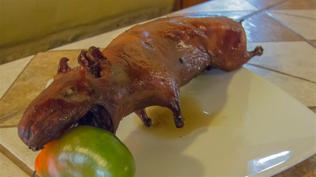 Peruánské morče se dostává na jídelníček předních restaurací. Ilustrační snímek.