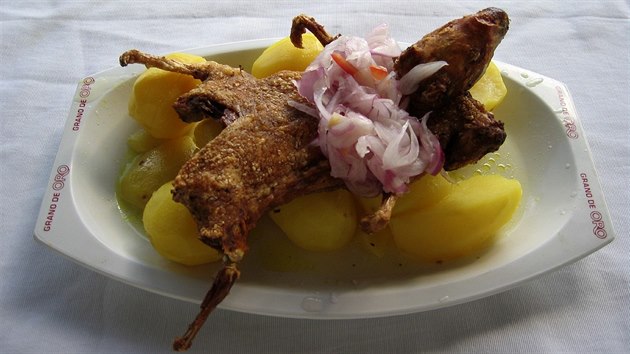 Peruánská morčata se dostávají do restaurací. Ilustrační snímek.