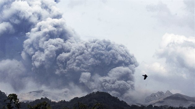 Kou a popel vyhnal po vbuchu sopky Mount Kelud z vesnic tisce obyvatel (Indonsie, 14. nora 2014).