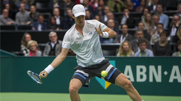 Tom Berdych ve finle tenisovho turnaje v Rotterdamu proti Marinu iliovi.