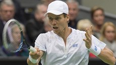 Tomá Berdych v semifinále turnaje v Rotterdamu.