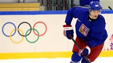 Jaromír Jágr pi tréninku eské hokejové reprezentace v arén Boloj Ice Dome