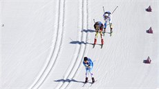 Bkyn na lyích pi tafetovém závodu na 4x5 kilometr. (15. února 2014)