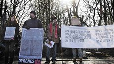 Protest proti poráce irafího samce Mariuse ped kodaskou zoo
