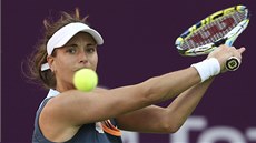 Petra Cetkovská ve tvrtfinále turnaje v Dauhá.