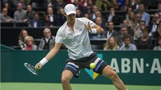 Tomá Berdych ve finále tenisového turnaje v Rotterdamu proti Marinu iliovi.