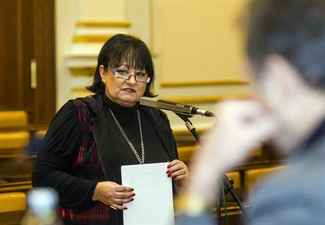Eva Jurinová ve Snmovn pi veejném slyení kandidát do Rady T (25. února...