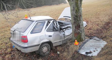 Ze zdemolovaného auta, které narazilo do stromu, museli dva ze tí cestujících...