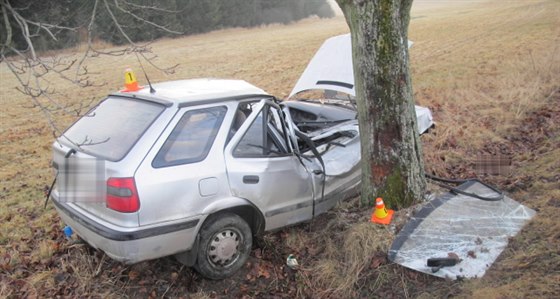 Ze zdemolovaného auta, které narazilo do stromu, museli dva ze tří cestujících...