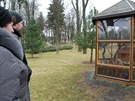Klec na veverky v Janukovyov lesoparku.