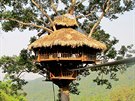 The Gibbon Experience Treehouse, rezervace Bokeo, Laos