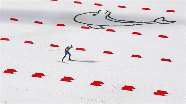 esk sdruen Miroslav Dvok pi tafet na 4x5 kilometr v olympijskm zvodu drustev. (20. nora 2014)