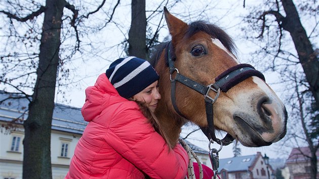 Vrchlabí darovalo zlaté olympioničce Evě Samkové koně Pepina, o kterého se stará. (26. 2. 2014)