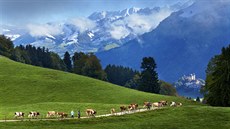 Oblast Gruyeres ve Švýcarsku