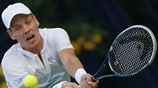 Tomá Berdych v semifinále turnaje v Dubaji