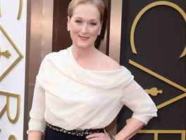Hereka Meryl Streepov v erno-bl hedvbn kreaci od Albera Elbaze z mdnho...