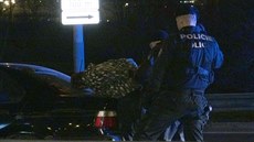 V pátek p�ed p�lnocí se pra��tí policisté pokusili zastavit �idi�e �erného BMW,...