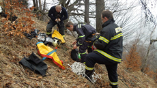 Českolipští hasiči se vydali také na horu Klíč, kde zachraňovali uvízlého psa.