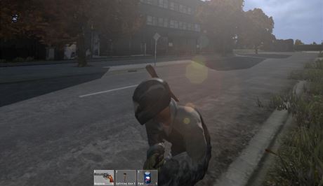 DayZ