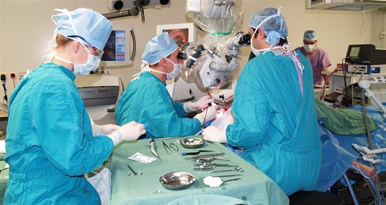 Tým neurochirurgů při operaci v Masarykově nemocnici v Ústí nad Labem