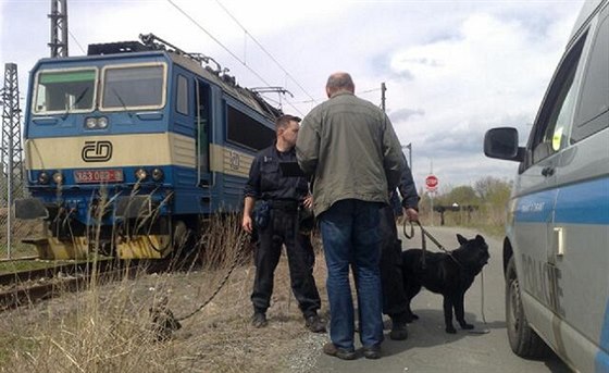 Policie rozbhla dv velké akce zamené na zlodje v okolí eleznice (ilustraní snímek)