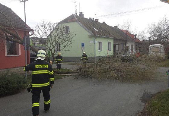 Hasii likvidují popadané vtve v Olomouckém kraji (16. bezna 2014).