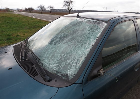 Opilá ena la stedem jízdního pruhu, auto ji tak srazilo svou levou ástí.