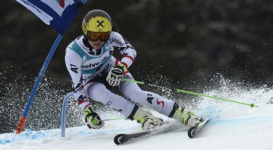 Anna Fenningerová na svahu v Lenzerheide pi obím slalomu Svtového poháru.