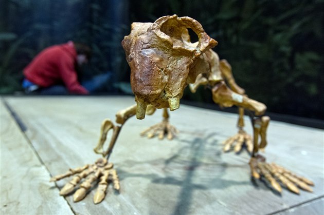 Jeden z exponát� výstavy Dinosaurium v pra�ských Hole�ovicích
