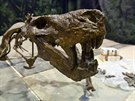 Jeden z exponát výstavy Dinosaurium v praských Holeovicích