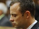 Oscar Pistorius pi soudním jednání, kde elí obvinní z vrady své pítelkyn...