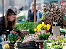 Zelinái a dalí trhovci tento týden v Brn poprvé prodávají na novém míst....