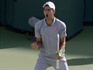 Novak Djokovi bhem semifinále na turnaji v Indian Wells.