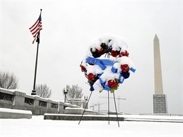 Sníh v USA