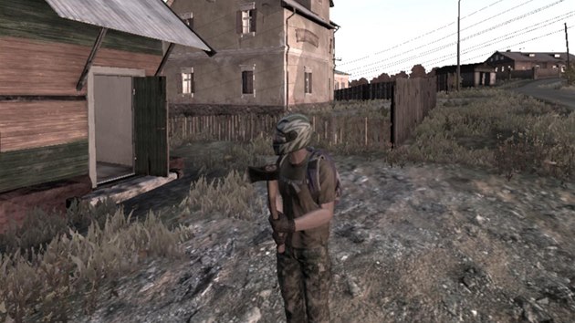 DayZ