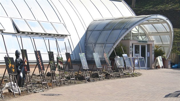 N�kter� druhy vietnamsk�ch orchidej� si m��ete prohl�dnout na sn�mc�ch vystaven�ch p�ed sklen�kem Fata Morgana.