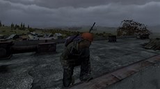 DayZ