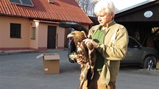 Petr Orel a poranná orlice Tonika po zákroku veterináe na dvoe záchranné...