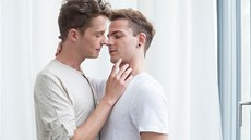 Právo homosexuál� na svou orientaci není dáno konstelací gen�, ale tím, �e jsou