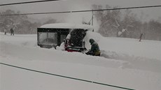 Zatímco u nás se stediska pedhánjí v potech snných dl, resort v Niseku...