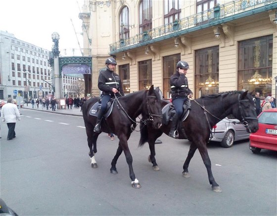 Jízdní policie (ilustraní foto)